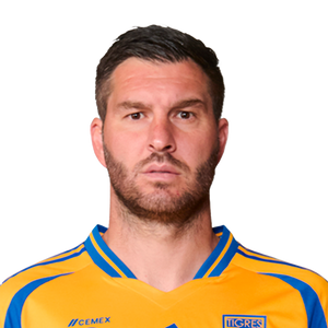 André-Pierre Gignac photo