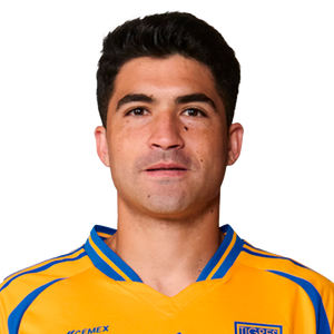 Nicolas Ibanez photo