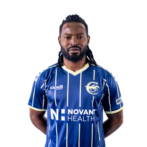 Fabrice Ngah photo