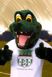 Crocodinho photo