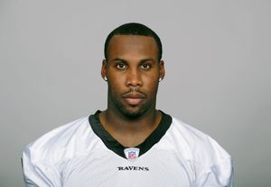 Anquan Boldin photo
