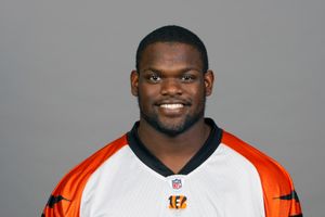 Geno Atkins photo