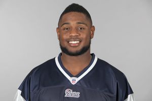 Stevan Ridley photo